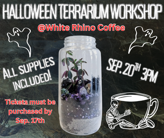 Halloween terrarium workshop (Waxahachie tx)